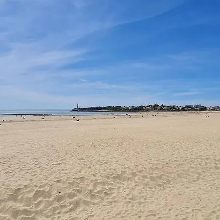 Georges De Didonne - Proche Et Centre-ville