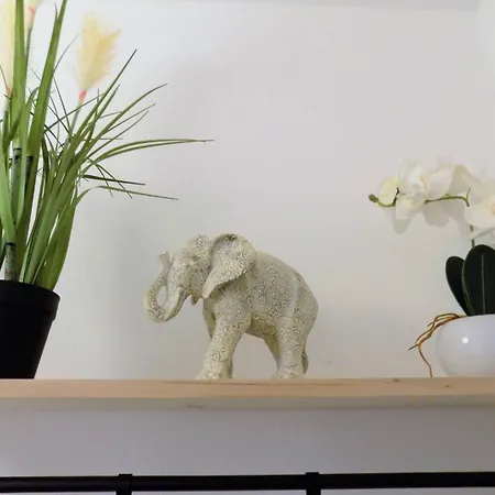 Apartment Georges De Didonne - Proche Et Centre-ville