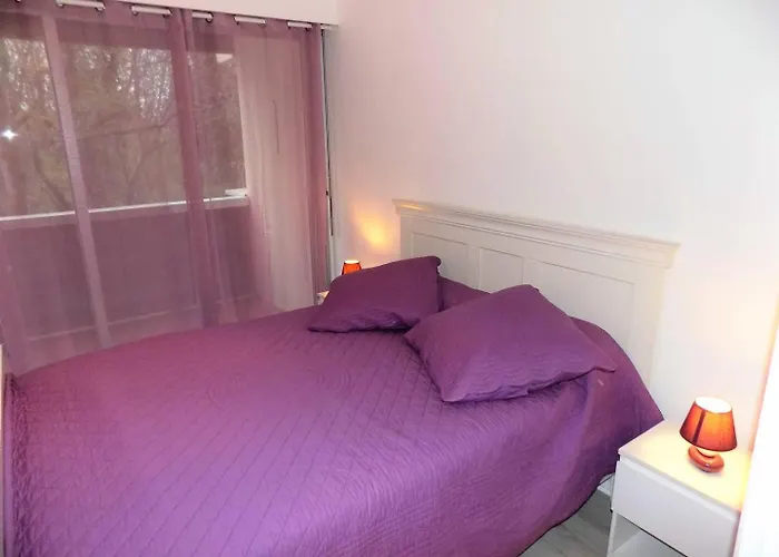 Georges De Didonne - Proche Et Centre-ville * 圣乔治德蒂